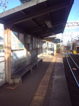 36711-1.jpg