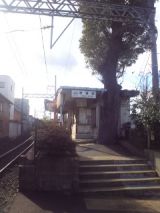 36711-3.jpg