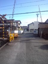 36711-6.jpg