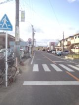 36717-3.jpg