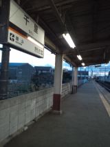 36726.jpg