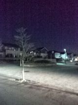 36733-5.jpg