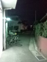 36736-4.jpg