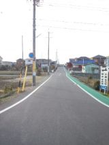 36747-5.jpg
