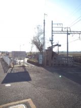 36749-2.jpg