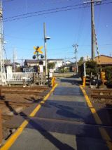 36754-5.jpg