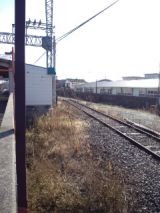 36755-3.jpg