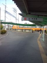 36763-5.jpg
