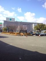 36765-4.jpg