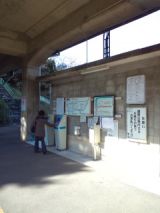 36767-4.jpg