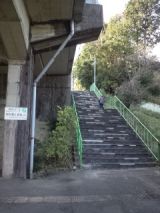 36767-5.jpg