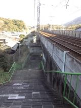 36767-6.jpg