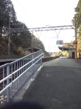 36767-7.jpg