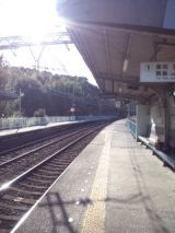 36768-1.jpg
