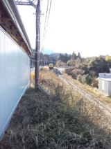 36768-2.jpg