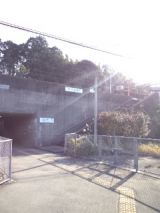 36768-4.jpg