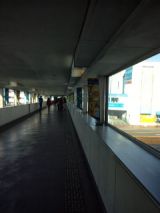 36774-3.jpg