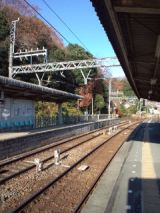 36775-1.jpg