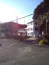36775-4.jpg