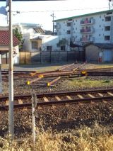 36776.jpg