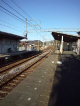 36778-1.jpg