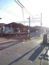 36778-5.jpg