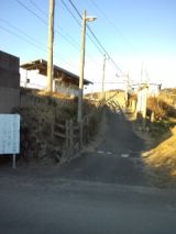 36779-4.jpg