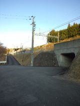 36780-3.jpg