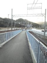 36783-4.jpg