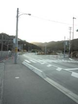 36783-6.jpg