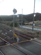 36784.jpg