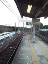 36785-2.jpg