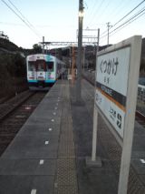 36785.jpg