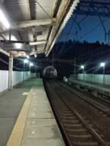 36788-5.jpg