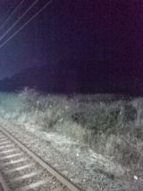 36791-1.jpg