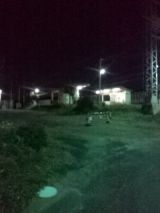 36798-7.jpg
