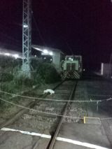 36800-1.jpg