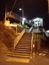 36805.jpg