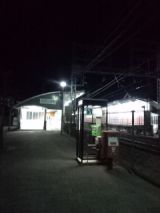 36811-2.jpg
