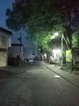 36830-4.jpg