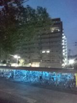 36830-5.jpg