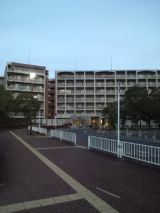 36831-4.jpg