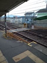36833-1.jpg