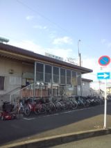 36858-1.jpg
