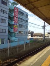36858-5.jpg