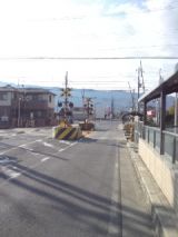 36859-4.jpg