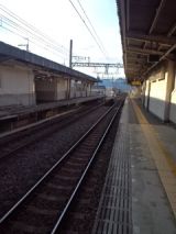 36865-1.jpg