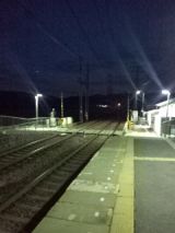 36870-1.jpg