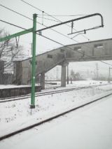 36904-3.jpg