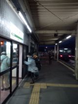 36909.jpg